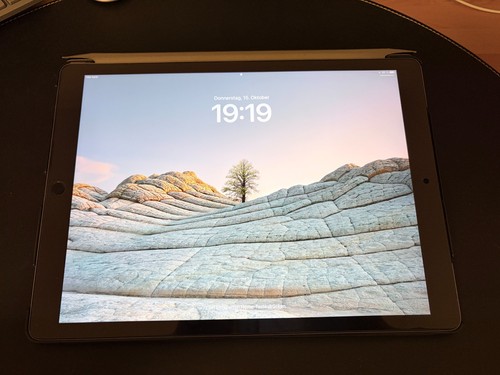 Apple ipad pro gen 256gb - pro, 1.